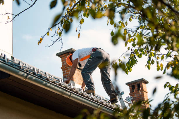 Best Sealant for Roof  in Ansted, WV